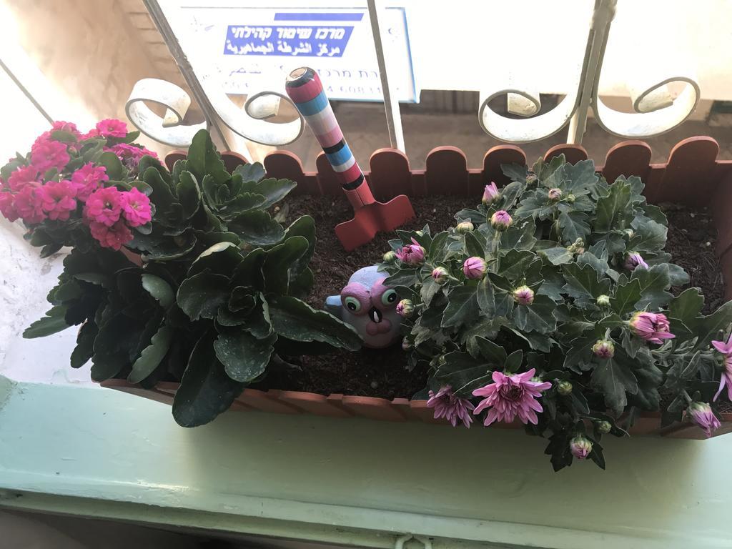 Al Bishara Guest House Nazareth Ngoại thất bức ảnh